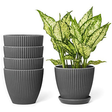 Dahey 6 Inch Plastic Planters with Saucers Indoor Flower Plant Pots Set ...