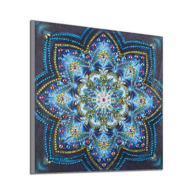 Diamond Painting Kits for Adults_ DIY 5D Special Shaped Mandala Diamond ...