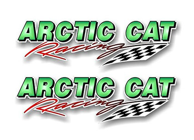 2 Checkered Flag CAT 12'' Racing Vinyl Sticker Decals Graphics for ...