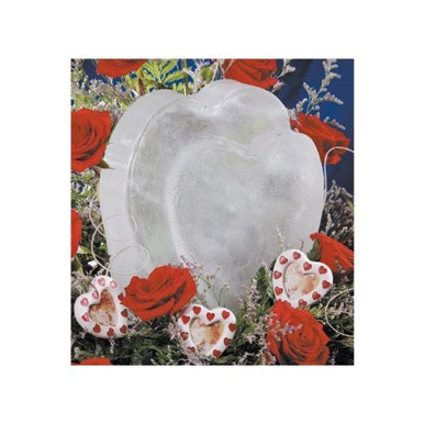 Reusable Heart Ice Sculpture Mold - Warehousesoverstock