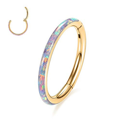 AROWRO 16G roestvrij staal septum clicker daith oorbellen