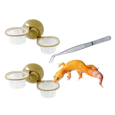 Produktbild von Gecko-Futterschale, Wasserbehälter Für Gecko, Reptile Feeding Cup Gecko Feeder, Gecko Futter Magnet Schale, Saugnapf Reptilienfutter Wasser Futternapf, Wasserreservoir Für Schlangen Echsen Krabben