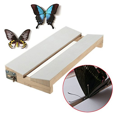 New Adjustable V Shape Insects Butterfly Spreading Mounting Board Solid ...