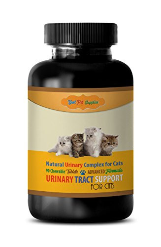 Image showcasing cat Urinary Tract Infection - CAT Urinary Tract Support - Best Complex ...