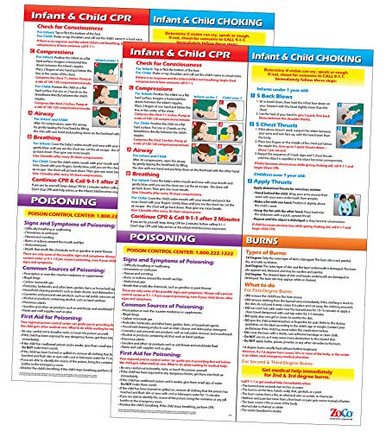 2 Poster Pack - Infant and Child CPR Choking Poisoning and Burns First ...