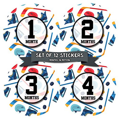Monthly Baby Stickers by Months In Motion | 12 Month Milestone Sticker ...