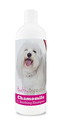 Healthy Breeds Chamomile Dog Shampoo and Conditioner with Oatmeal and ...