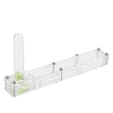 Zerodis Acrylic Ants Breeding Transparent Insect Breeding Box ...