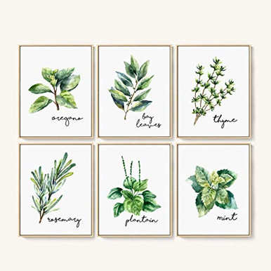Kitchen Herbs Art Prints Kitchen Wall Decor Botanical Prints Herbs Wall ...