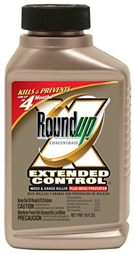 Roundup Concentrate Extended Control Weed and Grass Killer Plus Weed ...