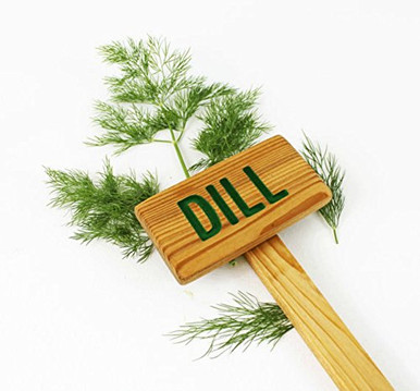 Dill Herb Garden Sign, Painted and Oil Sealed Cedar Wood: Hand Routed ...