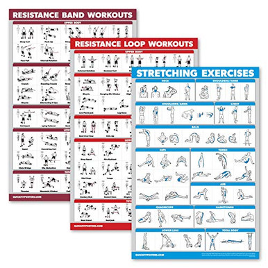 Palace Learning 3 Pack- Resistance Bands Exercise Poster Plus ...