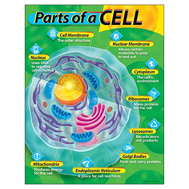 TREND ENTERPRISES- INC. Parts of a Cell Learning Chart- 17inch x 22inch ...
