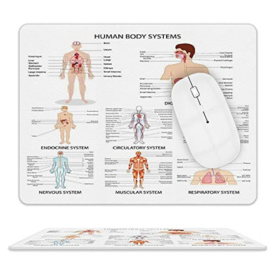 COLORSUM Gaming Mouse Pad Human Anatomy Complete Chart Different Organ ...
