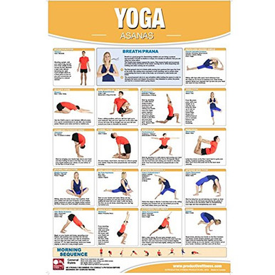 Productive Fitness Poster Series - Yoga Exercises | Laminated or Non ...