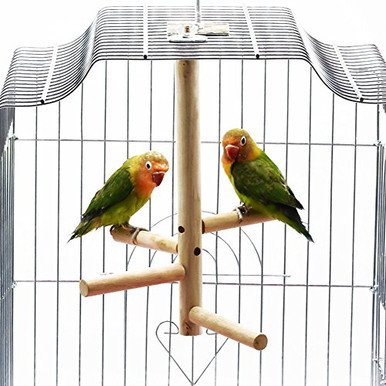 Curated visual reference: Picture Idea: Bonaweite Bird Stand For Cage Parrot Perch Climbing Tree Toy