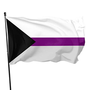 MINIOZE Demisexual Demi Sexual Pride Flag Themed Welcome Party Outdoor