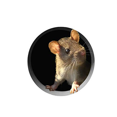 Realistic 3D Mouse Wall Sticker Mouse in A Hole Wall Decal Art Stickers ...