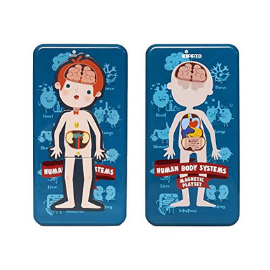 KIPPTO Magnetic Puzzle - Human Body System Dress-Up Playset, for 4-8 ...