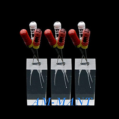 Dental Endodontic Root Canal Study Model RCT Endodontic Rotary Files ...