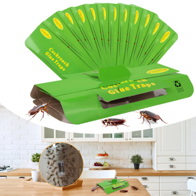 18 Pack Roach Traps Indoor Roach Killer Indoor Infestation, Cockroach ...