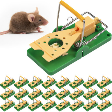 Qualirey 24 Pcs Mouse Traps Green Plastic Mice Trap House with Yellow ...