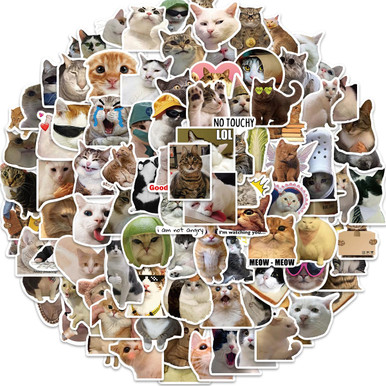 100PCs Cat Meme Stickers for Kids Laptop, Cute Cartoon Aesthetic Vinyl ...