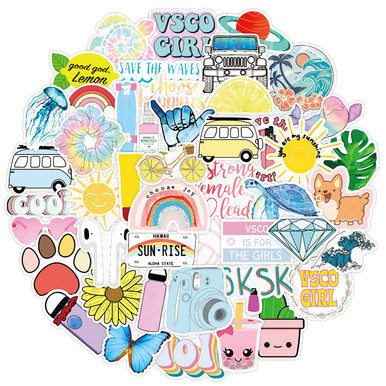 Seatefy 100 Pcs VSCO Stickers for Water Bottles Hydroflask Stickers ...