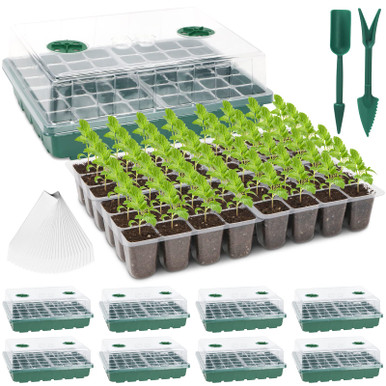 Joyyy Starter kit per pasta madre da 963,9 g bottiglie di vetro a