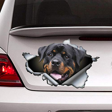 car Decal, Rottweiler car Sticker, pet Decal Sticker for Cars, Windows ...