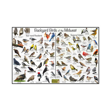 Where's Wildlife Backyard Birds of the Midwest Bird Identification ...