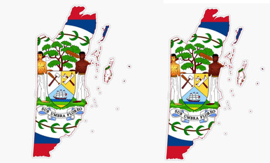 Belize Flag Map Cup Vinyl Waterproof Sticker Decal Car Laptop Wall ...