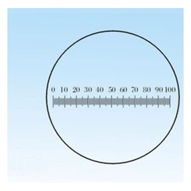 Microscope Slides Scale Ruler Microscope Adapter Diameter 19mm Microscope Slides, Microscope ...