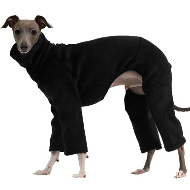 SMALL DOG - Doggy Racing Hoody Grey main image 1