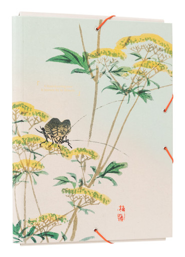 Kokonote Japanese Premium A4 File Folder - 13.4 x 10 inches / 34 x 25.5 ...