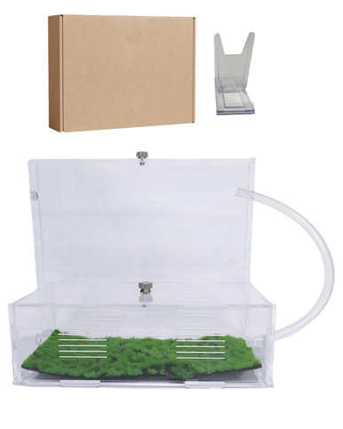 Ants Footsteps Ant Farm for Live Ants Ant Habitat Science DIY Learning