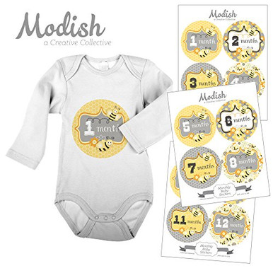 12 Monthly Baby Stickers, Girl, Bumble Bees, Honey Bees, Baby Belly ...