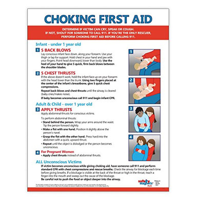 Choking First Aid Poster - 17 x 22 in. - Laminated - Instructions for ...