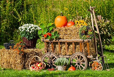CSFOTO 7x5ft Thanksgiving Day Backdrop Farm Countryside Orchard Pumpkin