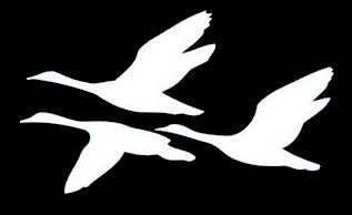 Goose Flight Sticker Geese Flying Goose Decal Vinyl Sticker Cars Trucks Vans Walls Laptop ...