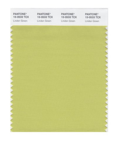 Lindon Color PANTONE Smart 15-0533X Color Swatch Card, Linden Green ...