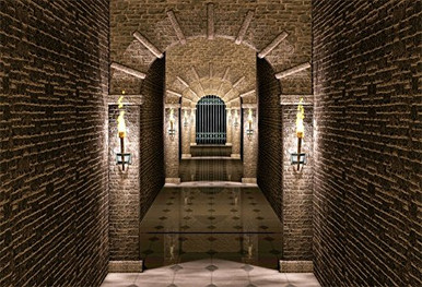 LFEEY 7x5ft Medieval Castle Corridor Backdrop Torch Lightning Iron ...