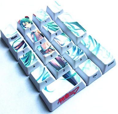17 keycap Set, Dye-subbed PBT Keycaps, Whte DIY keycaps, OEM Keycaps ...