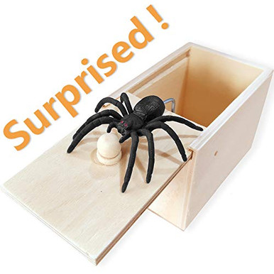 AHZI Fun Spider Money Surprise Box,Rubber Spider Prank Box,Handcrafted ...