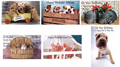 CEO Cards Birthday Greeting Card Assortment - VP1603. Greeting Featuring Five Different Birthday . Box Set Has 25 Greeting And 26 Bright White