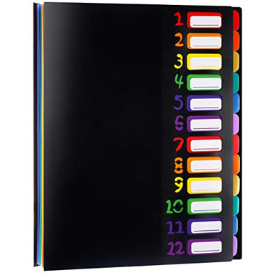 12 Pocket Expanding Project Sorter Heavy Duty Monthly Plastic ...