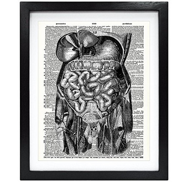 Susie Arts 8X10 Unframed Human Anatomy Art Upcycled Vintage Dictionary ...