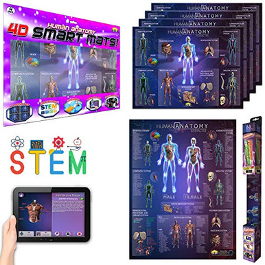 Interactive Durable Human Anatomy Chart and Mats for Kids Adults ...