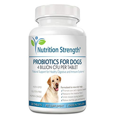 Probiotics For Dogs With Gas And Bloating Reference: Nutrition Strength Probiotics For Dogs Support For Healthy Digestive