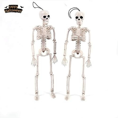OKlife 16 inches Model Or Halloween Skeleton Toys Decoration Poseable ...